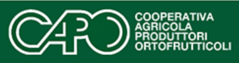 Logo_CAPO-1