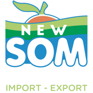 Logo_NewSom